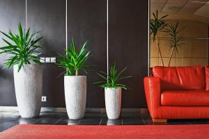 three potted plants in a room with a red couch at Hotel Palma in Mažeikiai