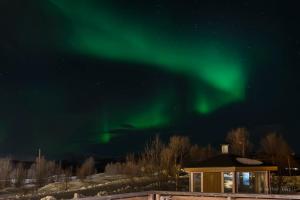 Vikran Vacation: Sea fishing and Northern Lights during the winter