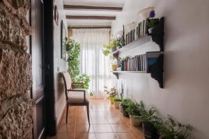 Vonkajšia záhrada v ubytovaní Casa Banys L'Avellà