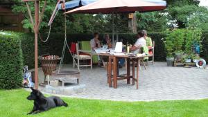 Domácí mazlíčci ubytovaní s hosty v ubytování Am See