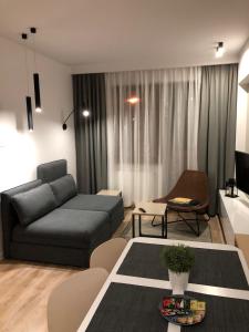 クリニツァ・ズドルイにあるApartament Comfort Zoneのリビングルーム(ソファ、テーブル付)