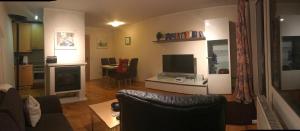 a living room with a couch and a television at Berg- und Seeblick in Winterberg