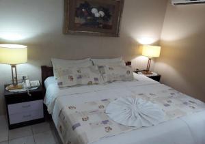 Gallery image of Hotel del Sur in San Lorenzo