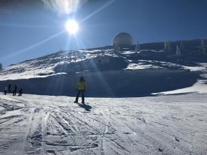 アパートメントの敷地内または近くで楽しめるスキー