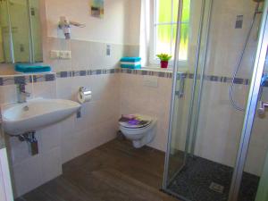 a bathroom with a toilet and a sink and a shower at Cochem Ferienwohnung Scheuer in Cochem +15 photos