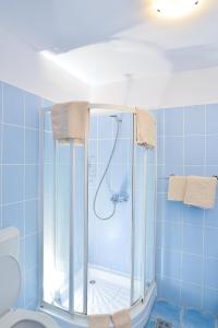 a blue tiled bathroom with a shower and a toilet at Pension Bassen in Bazna