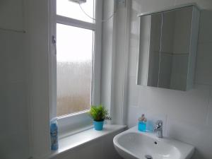 へレンズバラにあるSnug - Krayr Apartmentの洗面台付きのバスルーム、鉢植えの植物が備わる窓