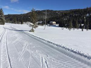 a snowy road with ski tracks in the snow at Almhütte-Flattnitz in Flattnitz