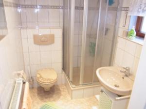 a bathroom with a shower and a toilet and a sink at Kleinhohenfichten in Kurort Altenberg +7 photos