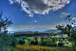 モンタルチーノにあるアグリツーリズモ フラスケッタの山や木々の谷の景色