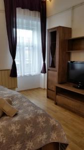 um quarto com uma cama, uma televisão e uma janela em Sarolt Apartman em Veszprém