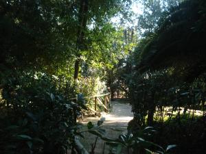 Vonkajšia záhrada v ubytovaní Monolocale in villa