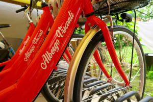 Attività di ciclismo presso l'hotel o nelle vicinanze
