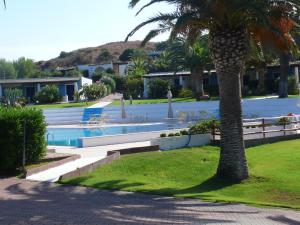 a palm tree sitting next to a swimming pool at R9 in Vulcano