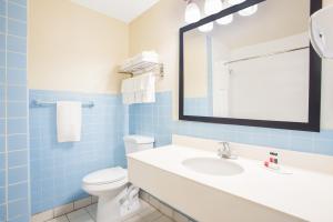 a bathroom with a sink and a toilet and a mirror at FairBridge Inn Express Buffalo Airport Williamsville in Williamsville