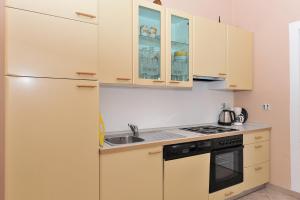 Kuchyň nebo kuchyňský kout v ubytování Apartments Dominique