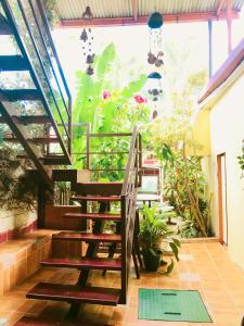 アラフエラにあるHotel Pacande B&Bの植物家の階段