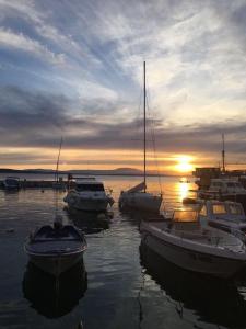 a group of boats sitting in the water at sunset at Apartman Bombon in Selce