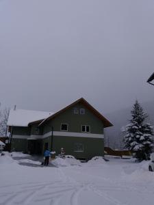 eine Person, die vor einem grünen Haus im Schnee steht in der Unterkunft Haus Santorum in Sankt Michael im Lungau