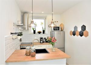 Kuchyň nebo kuchyňský kout v ubytování Apartment myhome Zagreb