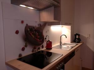 Kuchyň nebo kuchyňský kout v ubytování Apartment Steinkellner