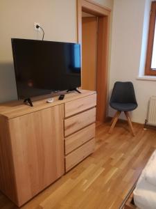 TV a/nebo společenská místnost v ubytování Apartment Steinkellner + 17 fotografií