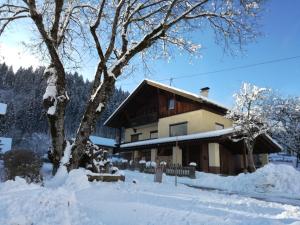 Apartment Steinkellner v zimě