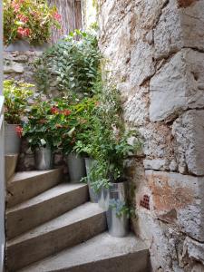a set of stairs with potted plants on them at Apartment Slava in Primošten