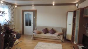 salon z kanapą z poduszkami w obiekcie Apartament Krystyna w mieście Tylicz