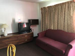 a living room with a couch and a tv at Sun N Snow Hotel in Cadillac