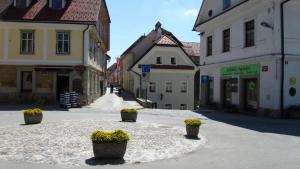 an empty street with three potted plants in a town at Old town Wall Radovljica - Appartment in Radovljica