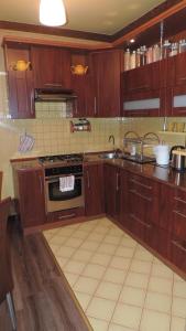 kuchnia z drewnianymi szafkami i kuchenką z piekarnikiem w obiekcie Apartament Krystyna w mieście Tylicz