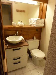 ein Badezimmer mit einem Waschbecken, einem WC und einem Spiegel in der Unterkunft Rez de chaussée très calme vue Mont-Blanc in Combloux