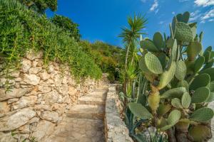 Fotografia z galérie ubytovania Askos Stone Villa - the Island Panorama v destinácii Agios Nikolaos