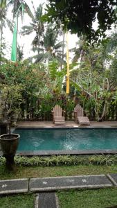 une piscine avec des chaises, des arbres et des plantes dans l'établissement Uma Loris Ubud, à Ubud