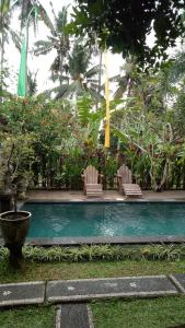 Bazén v ubytování Uma Loris Ubud nebo v jeho okolí