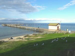 a group of birds standing on the grass near a pier at Bay Bell Cottage in Saint Leonards