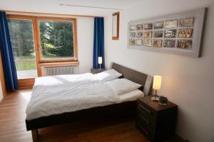 Schlafzimmer mit einem Bett und einem Fenster in der Unterkunft Ulrike (709 Sh) in Lenzerheide