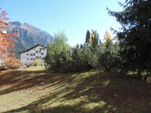 a house on a hill with trees and a mountain at Astoria (104 Mu) in Lenzerheide