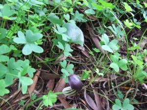 アルモグラヴェにあるCasalmograve beach houseのギャラリーの写真