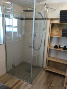 a shower with a glass door in a bathroom at Gut Maierlehen in Radstadt