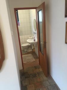 Koupelna v ubytování Apartmán Vrchlice