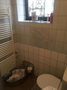 Koupelna v ubytování Apartmán Vrchlice