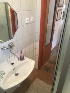 Koupelna v ubytování Apartmán Vrchlice