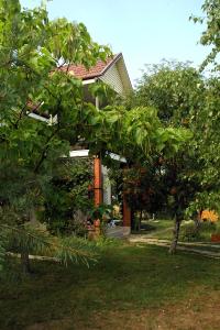 a house with a tree in front of it at Dacha u Morya Bugaz in Gribovka