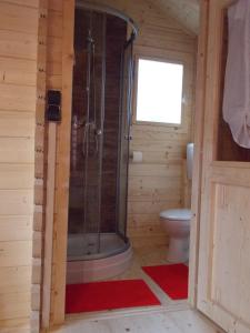 a bathroom with a shower and a toilet at Weiherhütte in Glan-Münchweiler