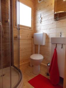 a small bathroom with a toilet and a shower at Weiherhütte in Glan-Münchweiler