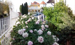 Vonkajšia záhrada v ubytovaní Valloris Apartments