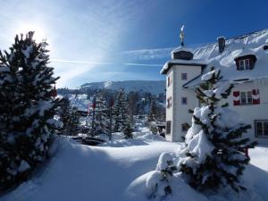 Schlosshotel Seewirt في تراشر هوهي: مبنى مغطى بالثلج بجانب شجرة