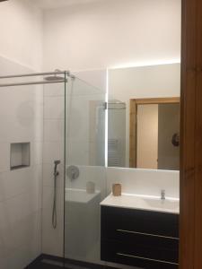 ein Bad mit einer Dusche, einem Waschbecken und einem Spiegel in der Unterkunft City-Apartment Berlin Charlottenburg in Berlin